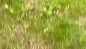 british Gay Porn