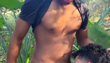 brazilian Gay Porn